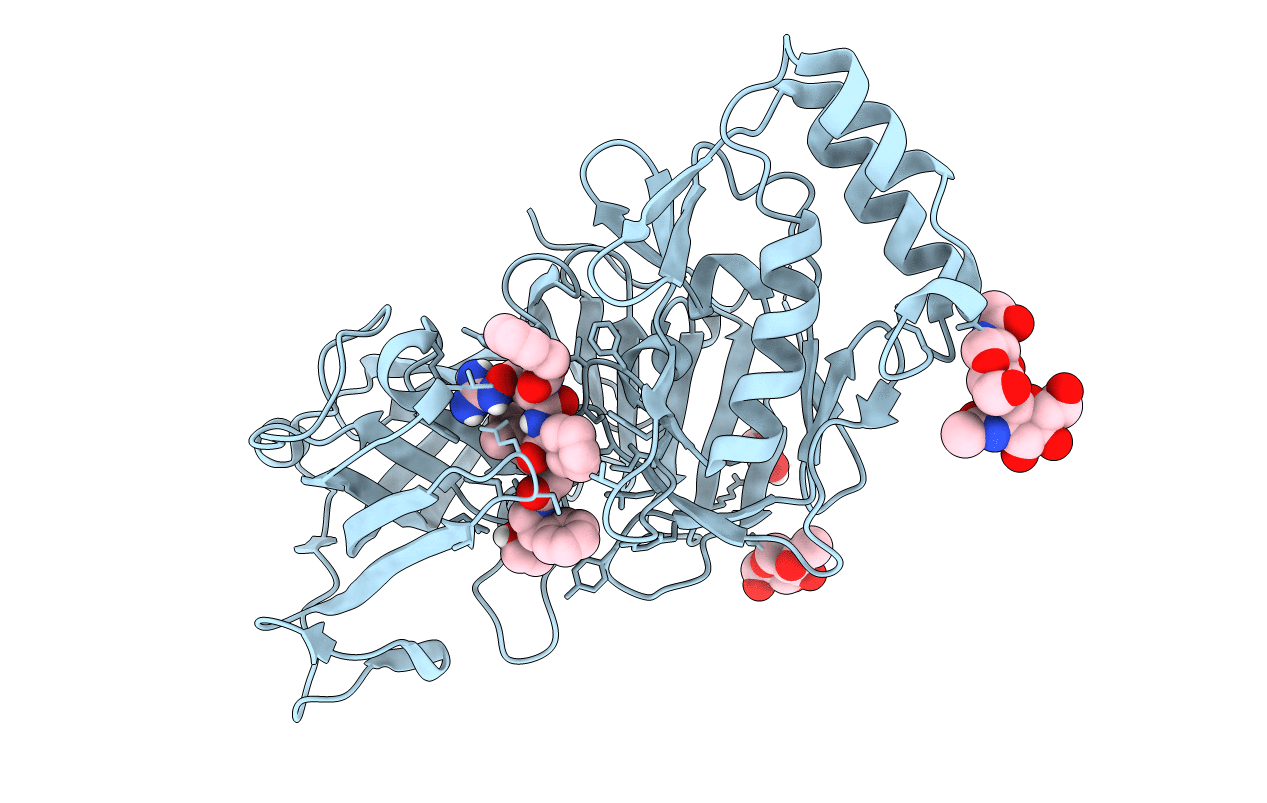 6C4G image