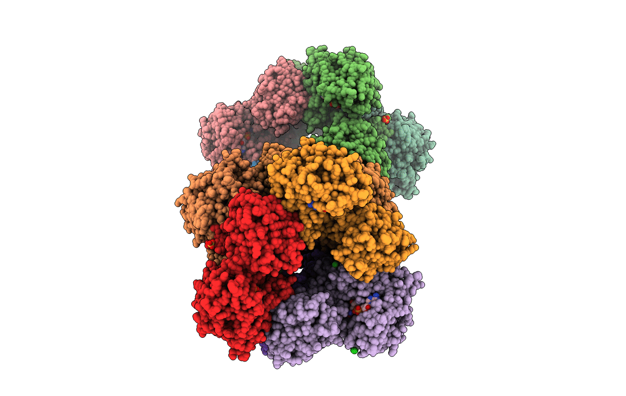6C4J image