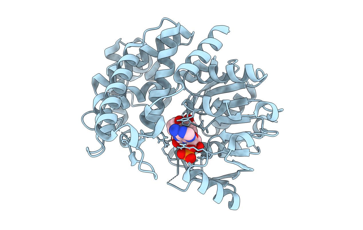 6C4M image