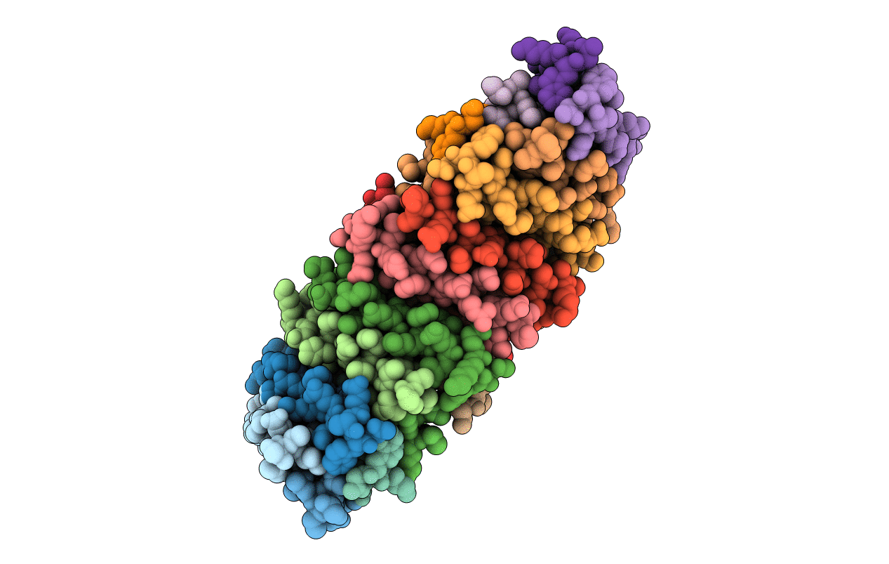 6C4Z image