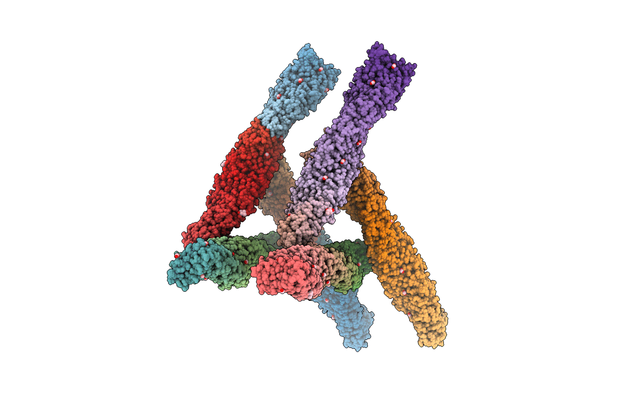 6C50 image