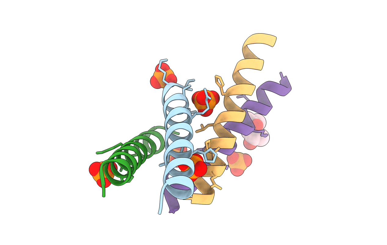 6C51 image