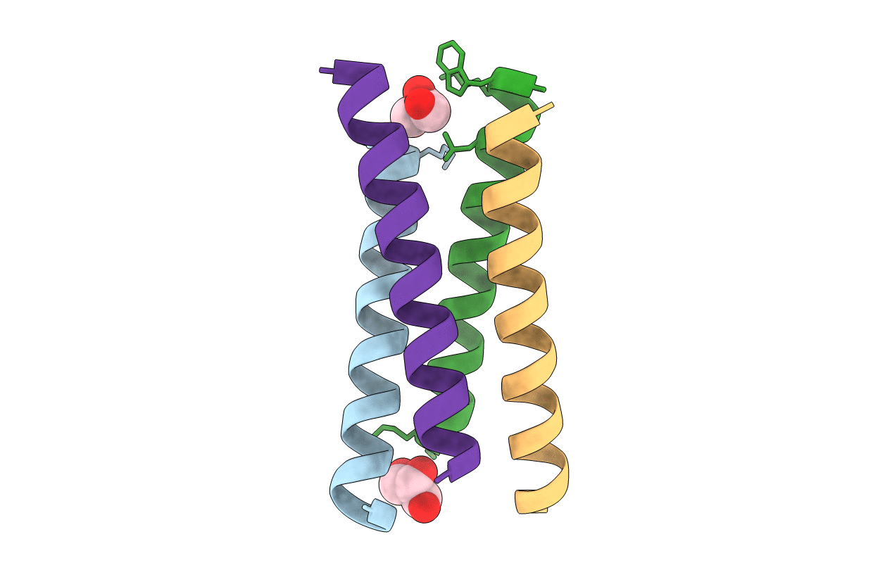 6C52 image