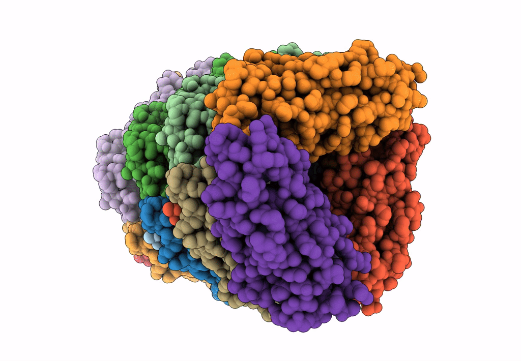 6C53 image
