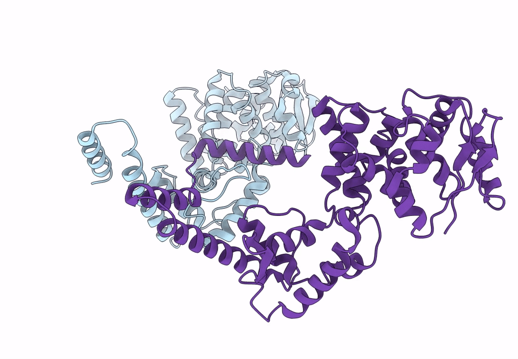 6C54 image