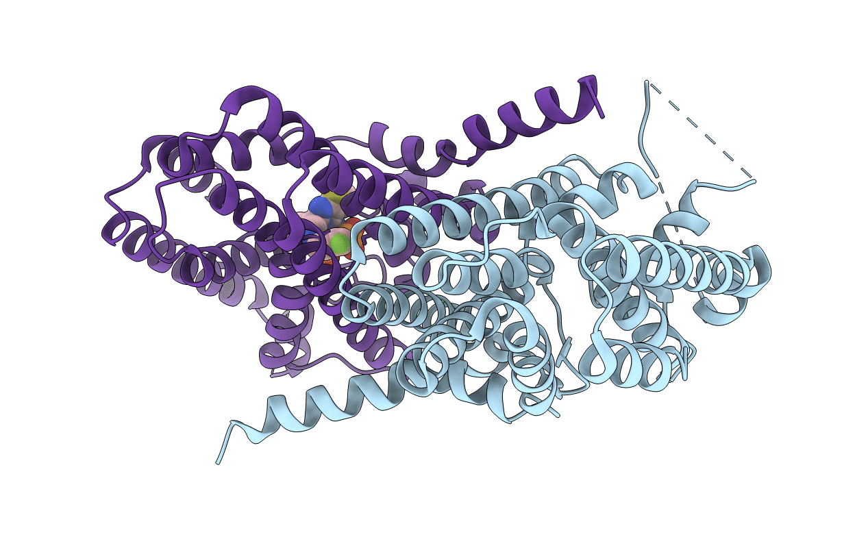 6C57 image