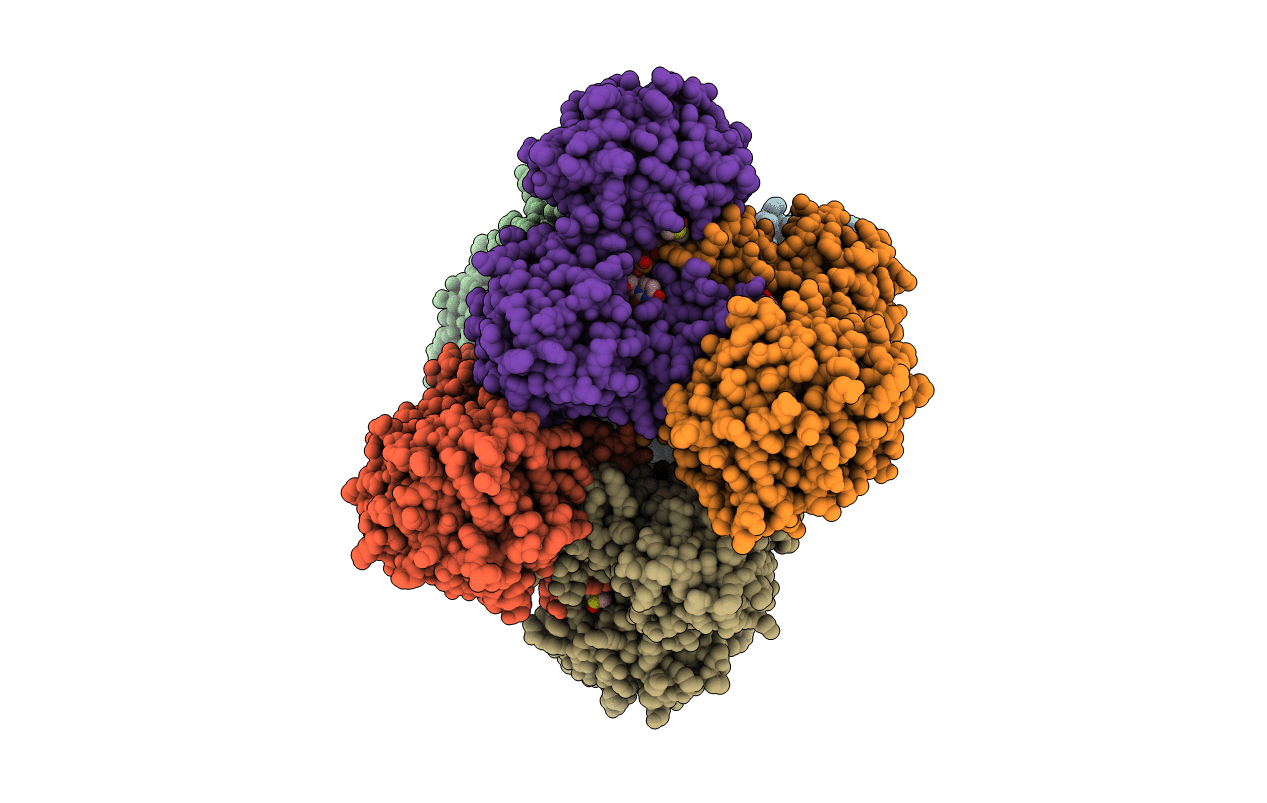 6C5A image