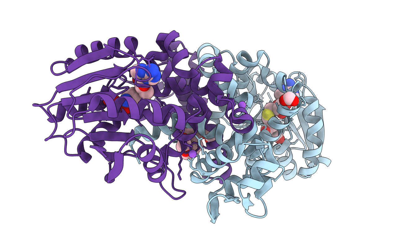 6C5B image
