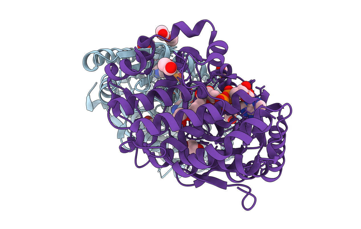 6C5C image