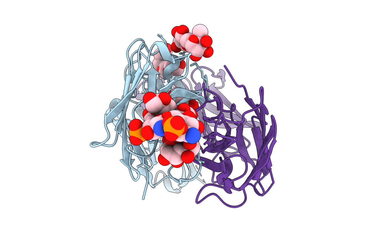 6C5H image