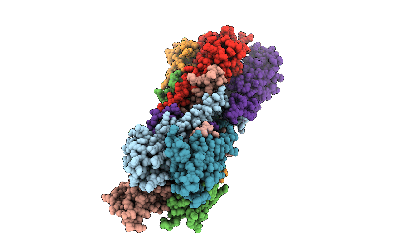6C5R image