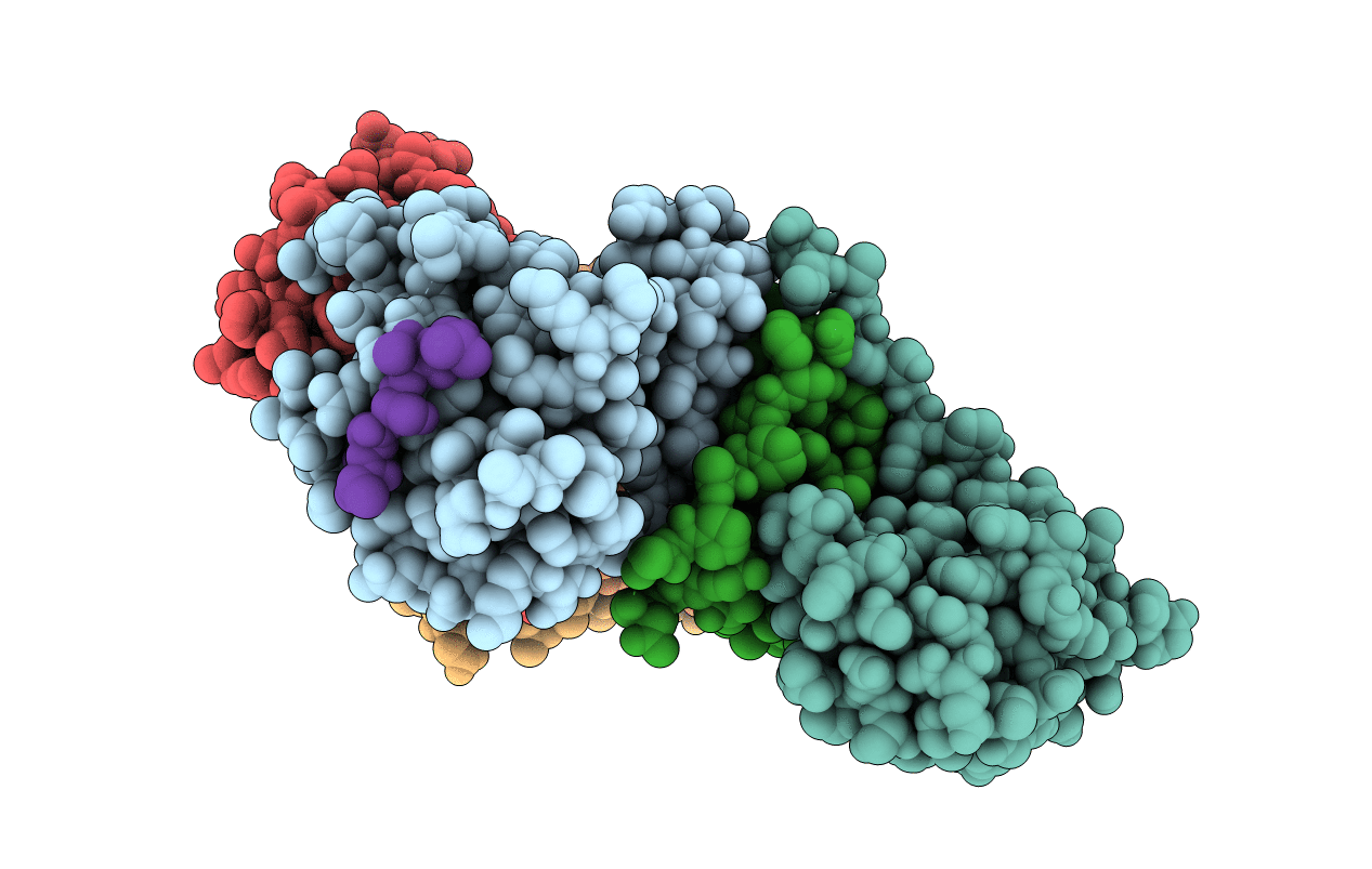 6C5X image