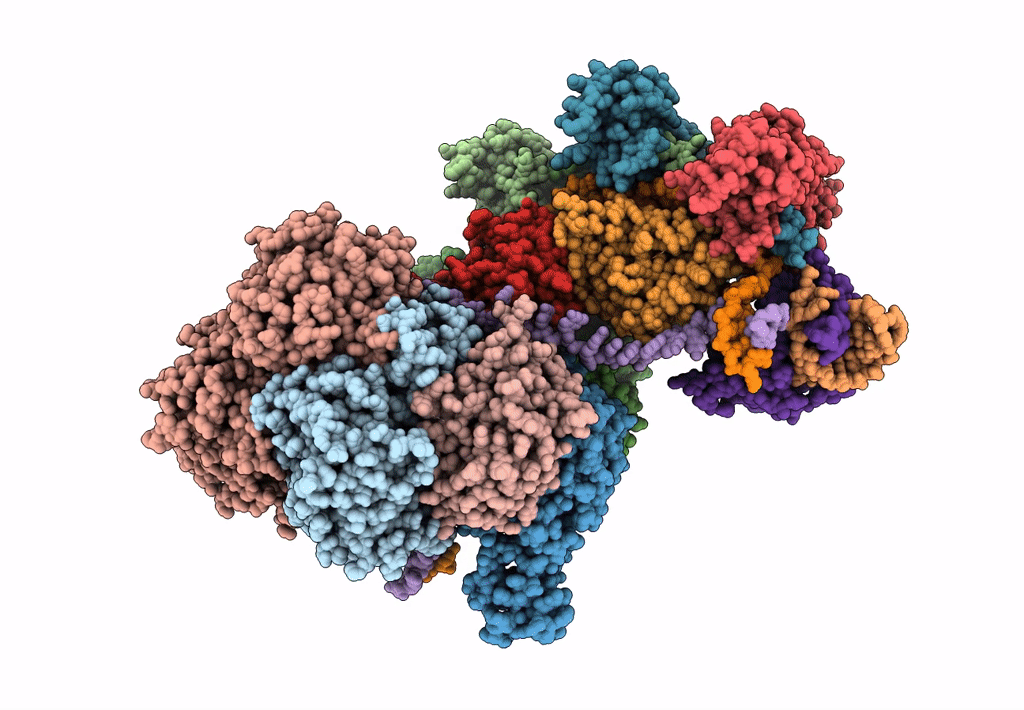 6C66 image