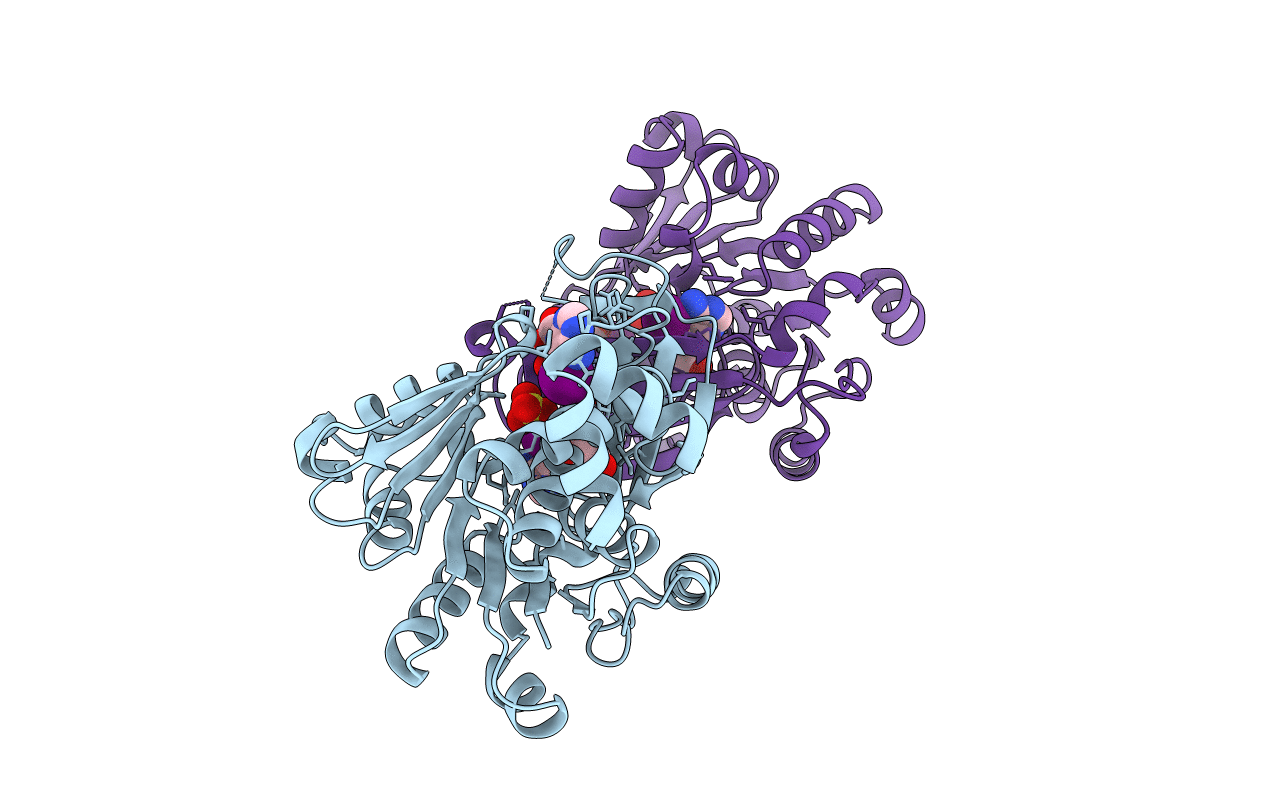 6C67 image