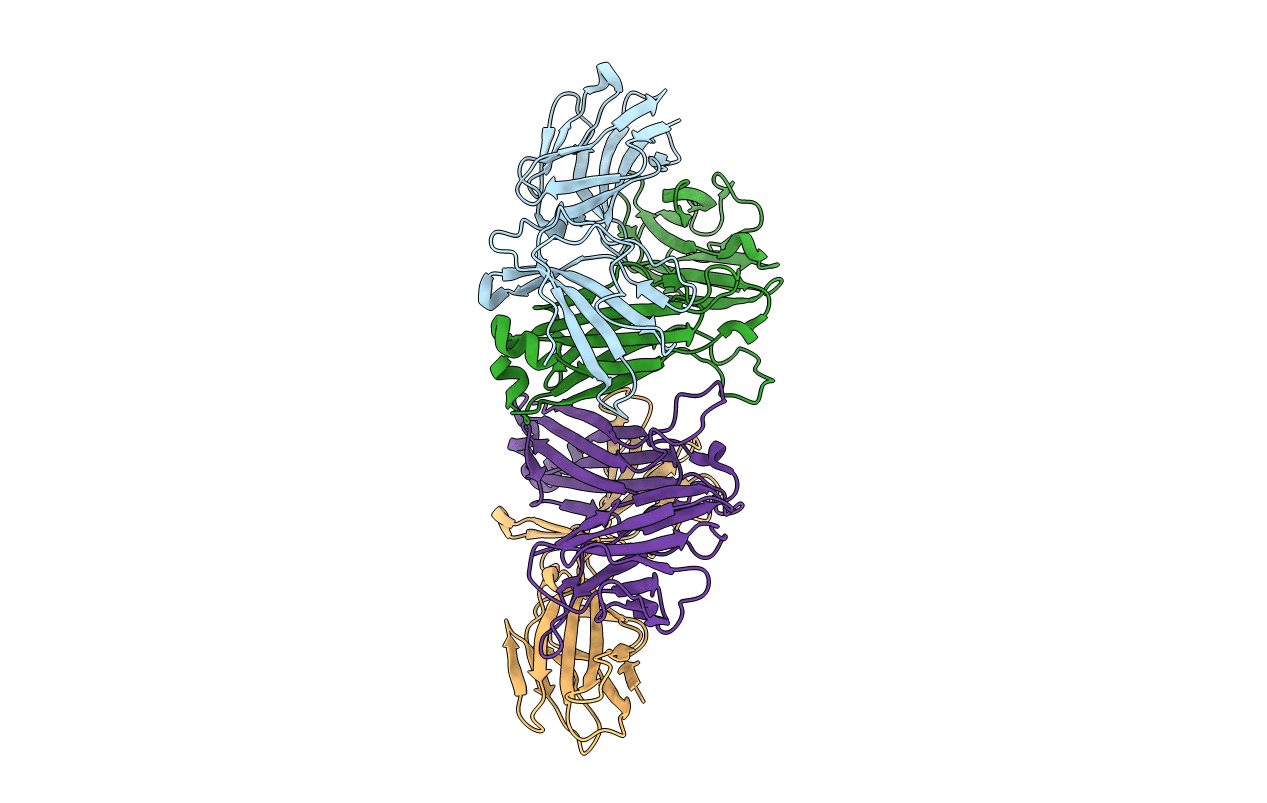 6C68 image