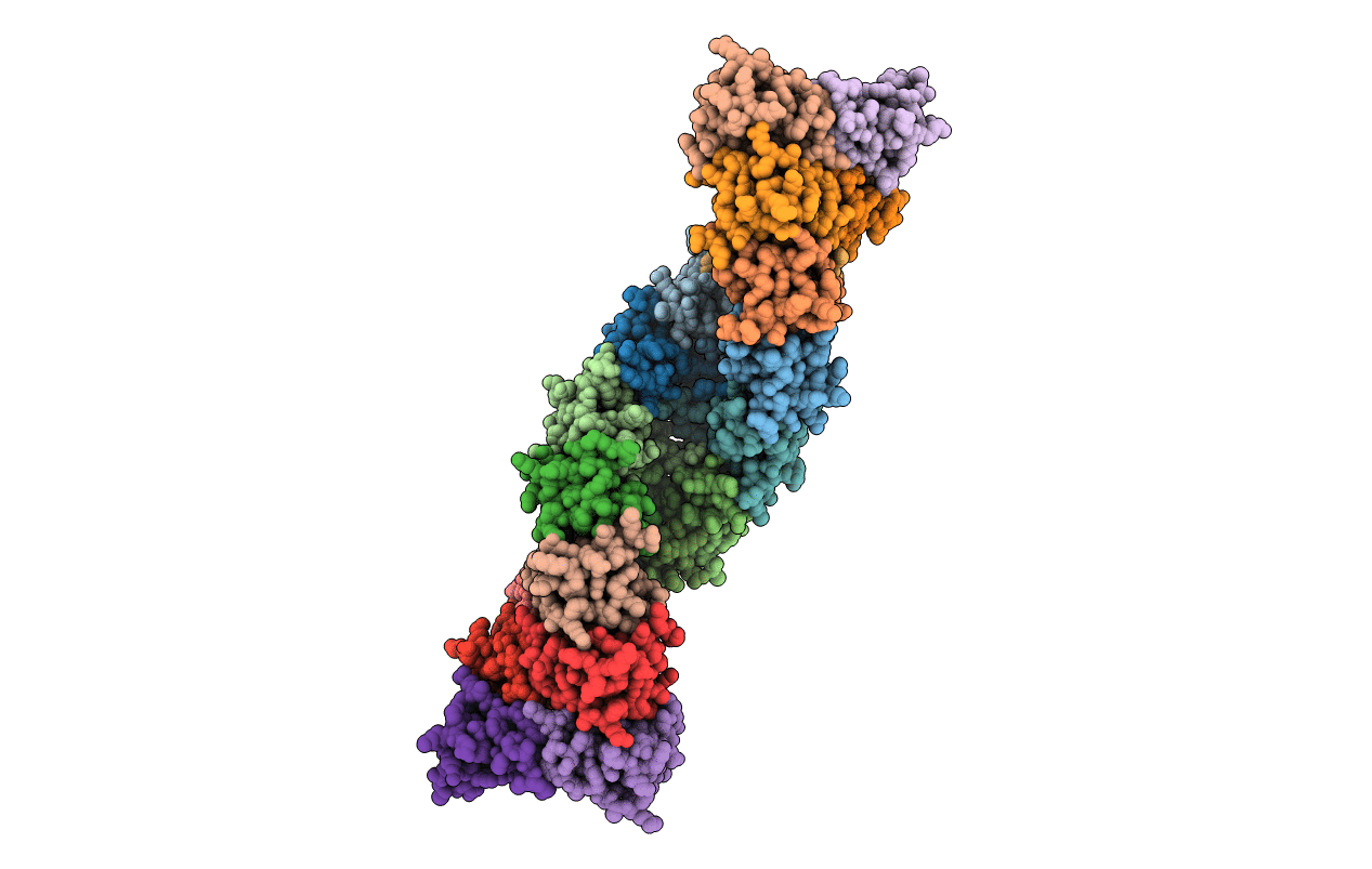 6C6D image