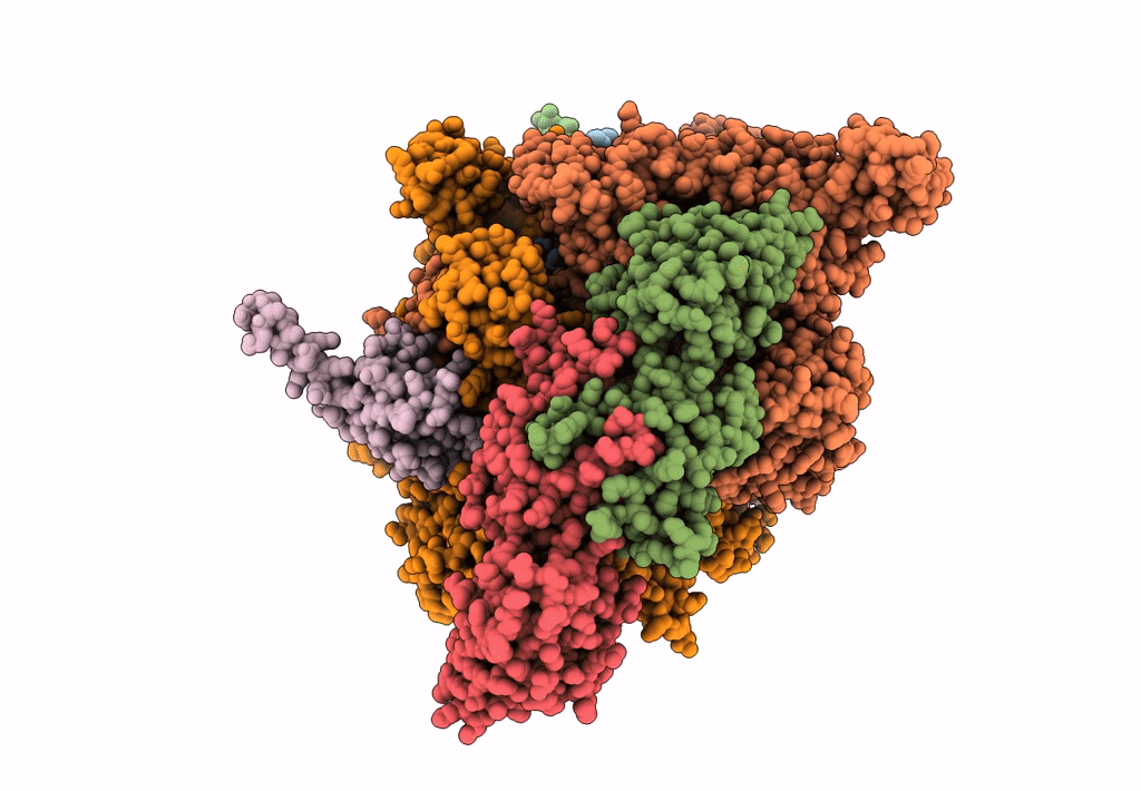 6C6T image
