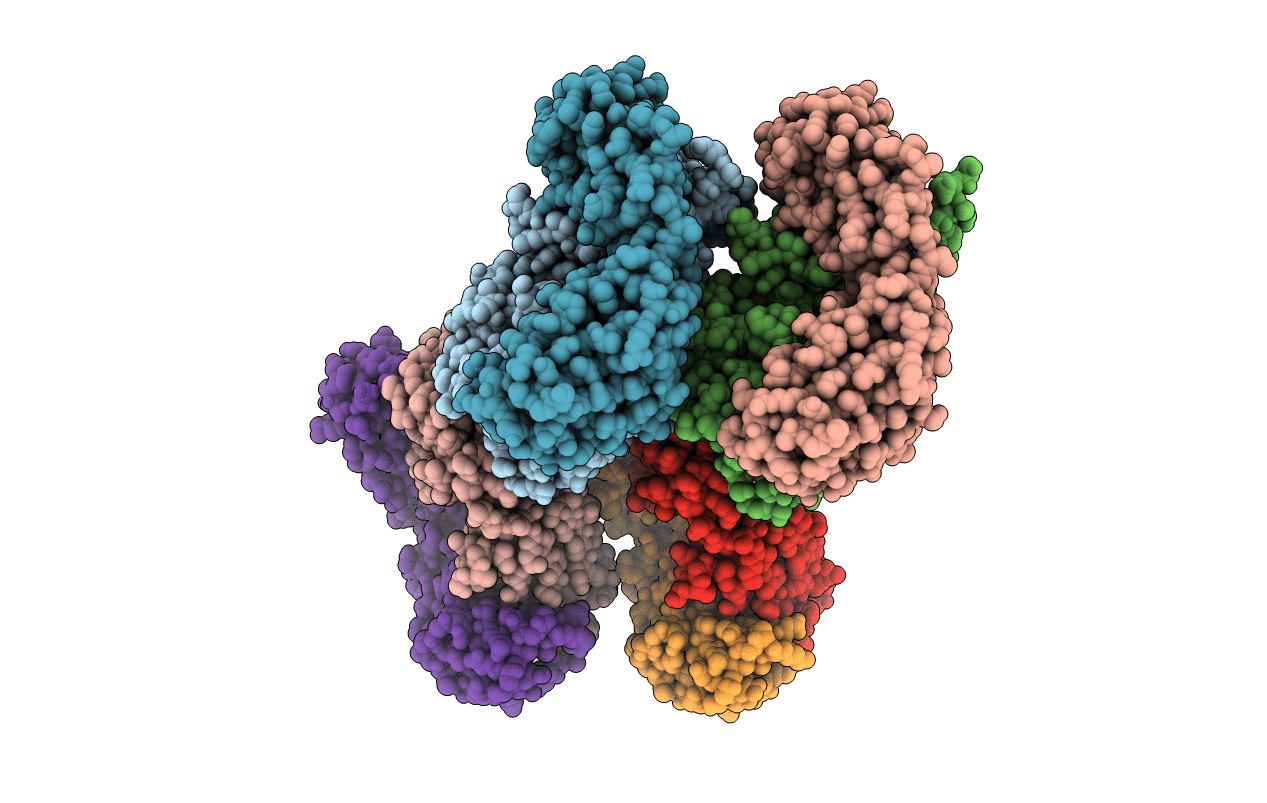6C6X image