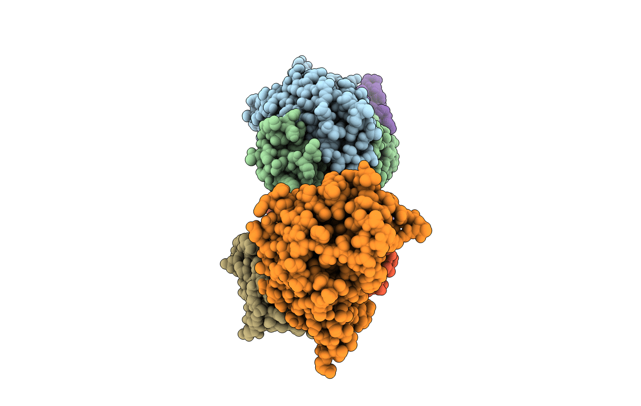 6C6Y image
