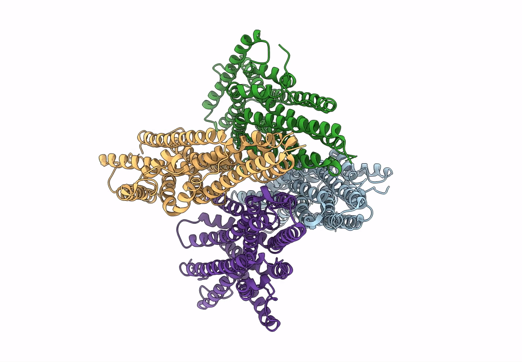 6C70 image