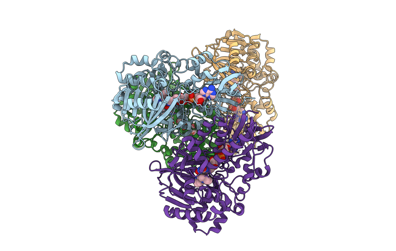 6C71 image