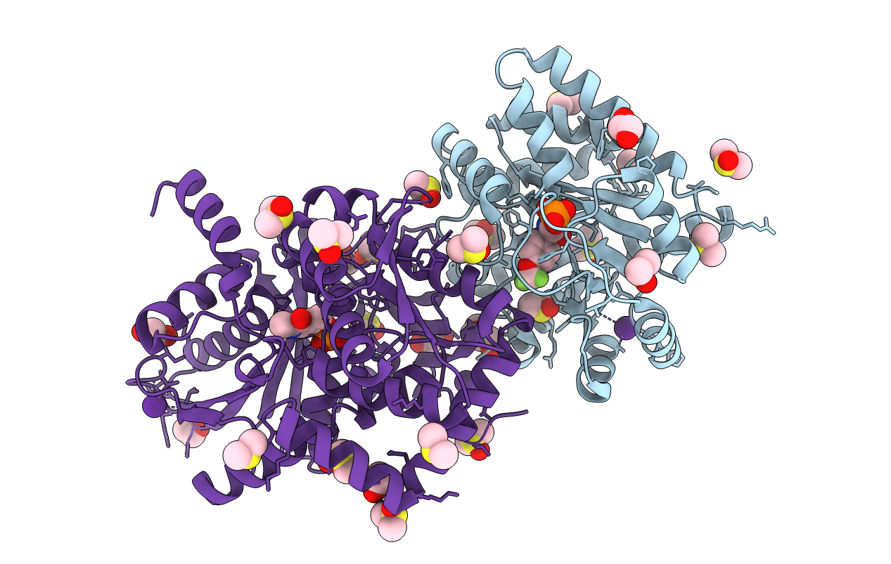 6C73 image