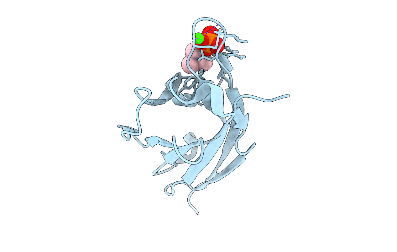 6C74 image