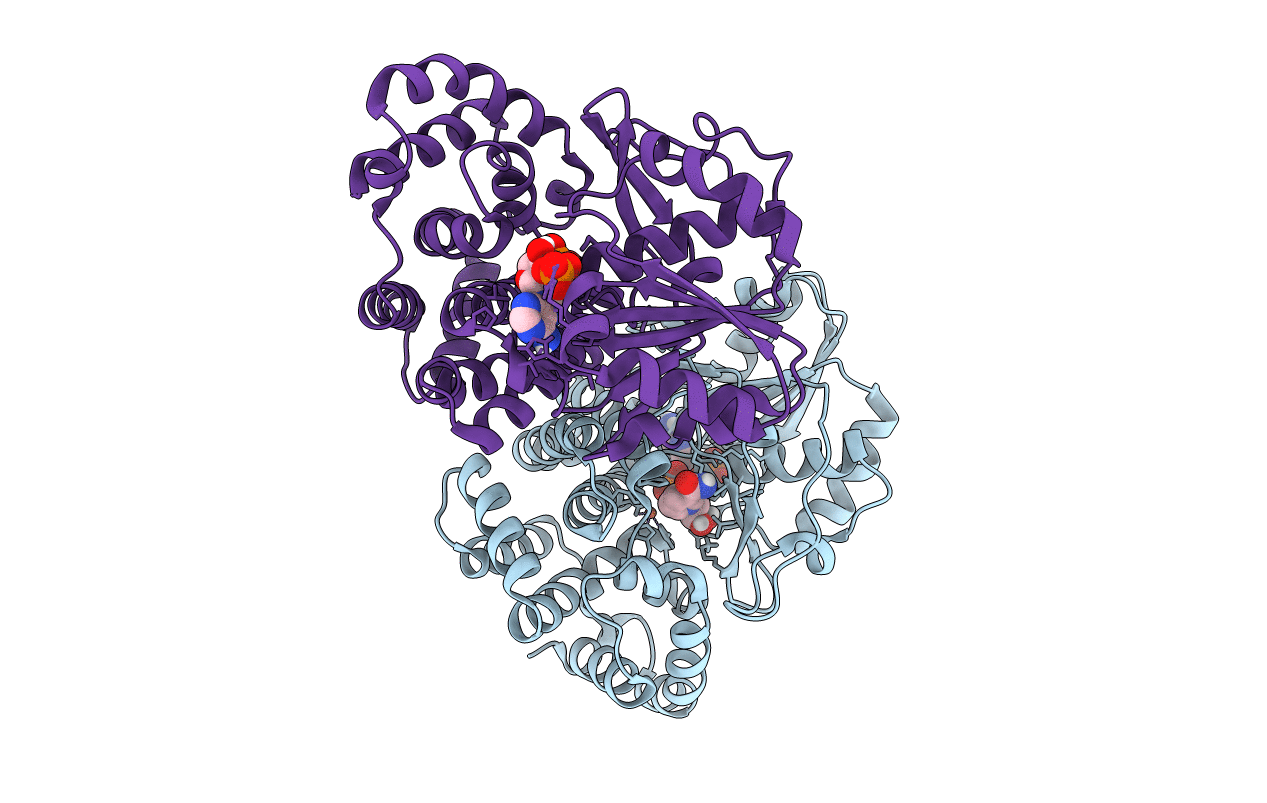 6C75 image
