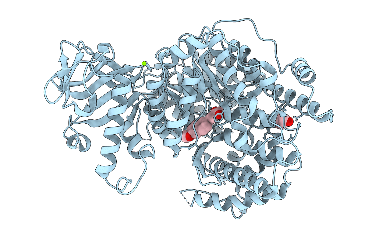 6C7B image