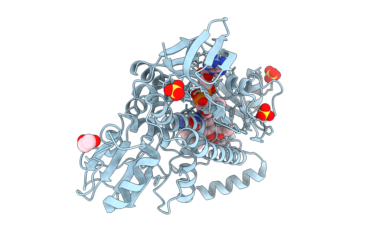 6C7S image