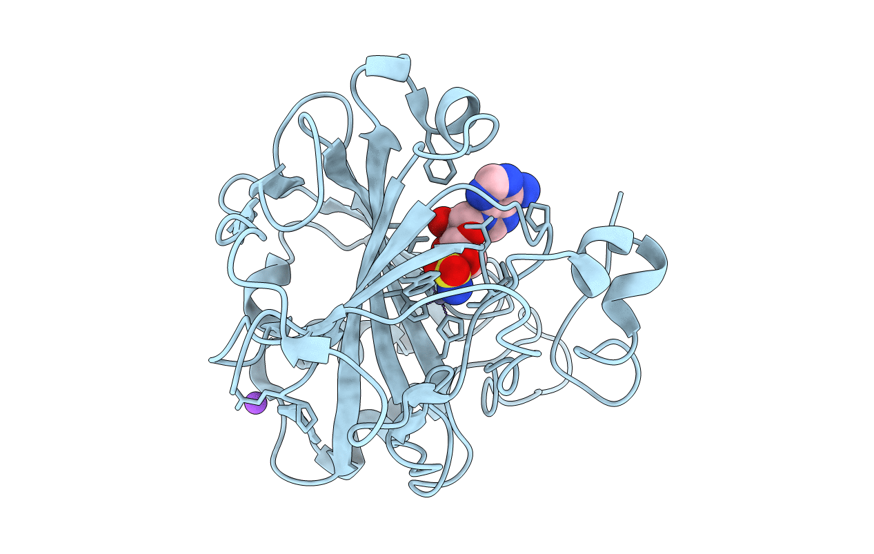 6C7W image