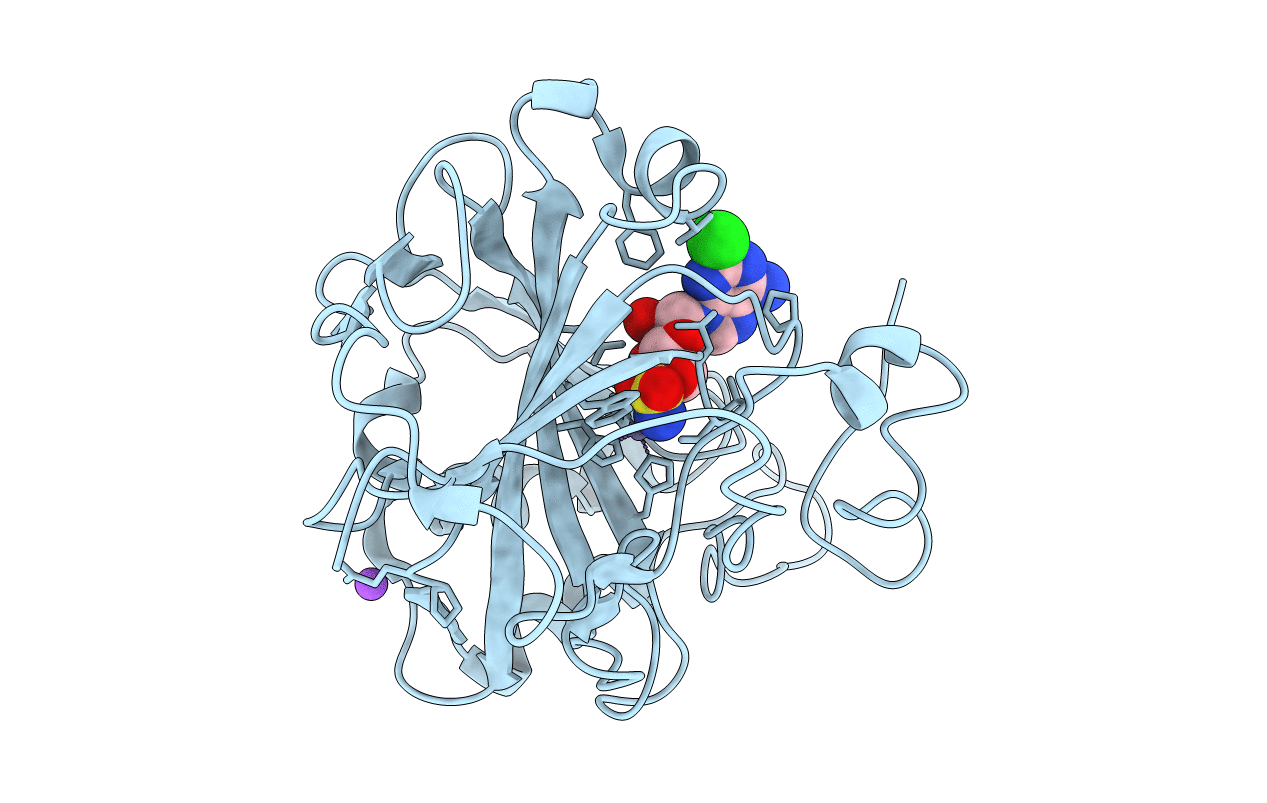 6C7X image