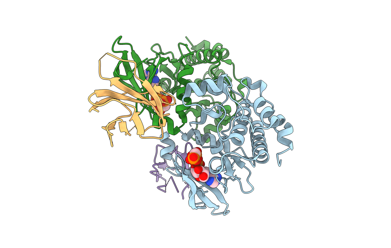 6C83 image