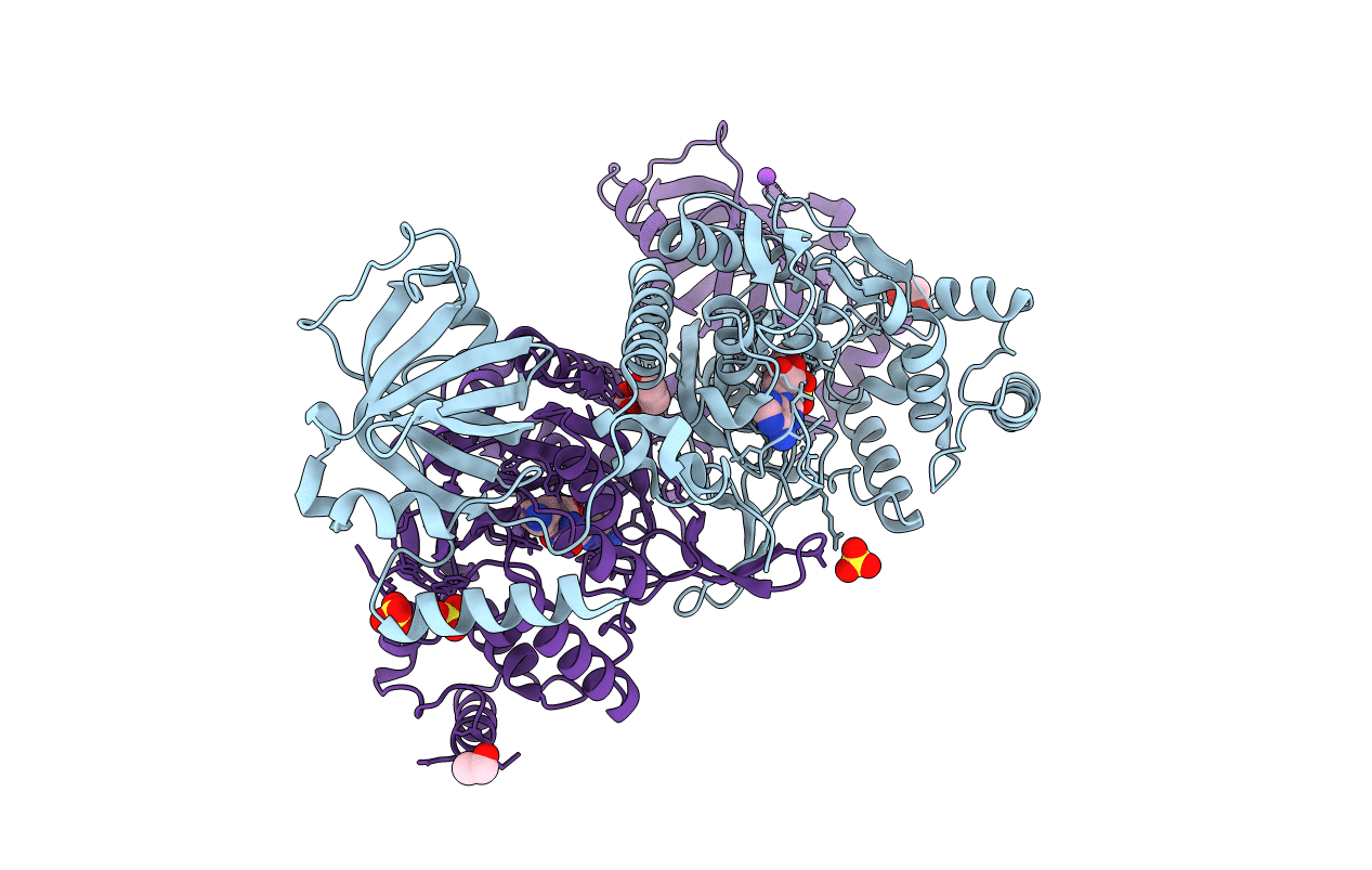 6C86 image