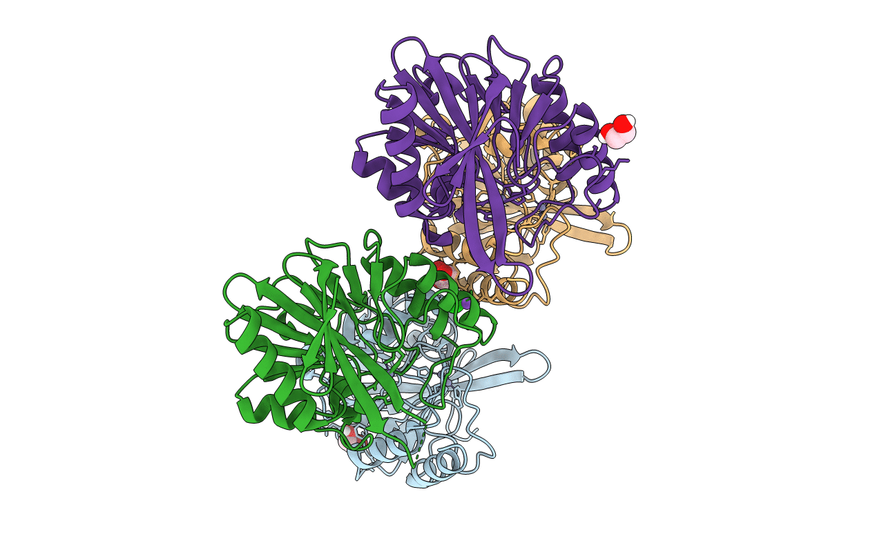 6C89 image
