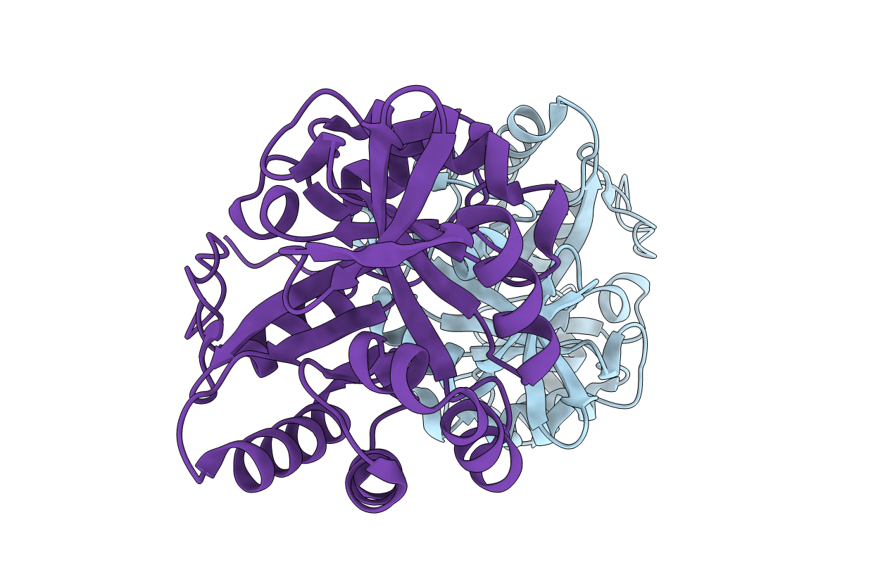 6C8B image