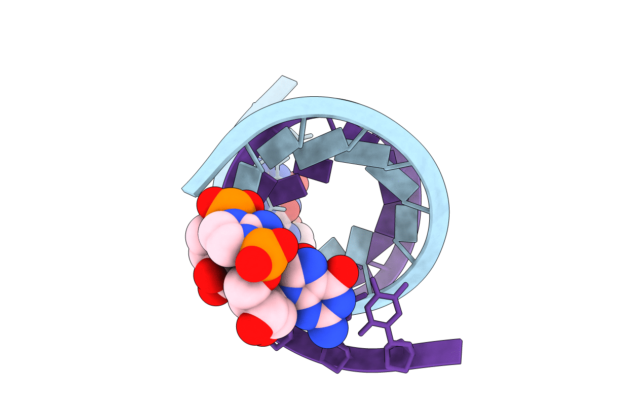 6C8E image