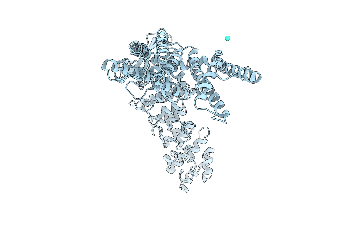 6C8H image