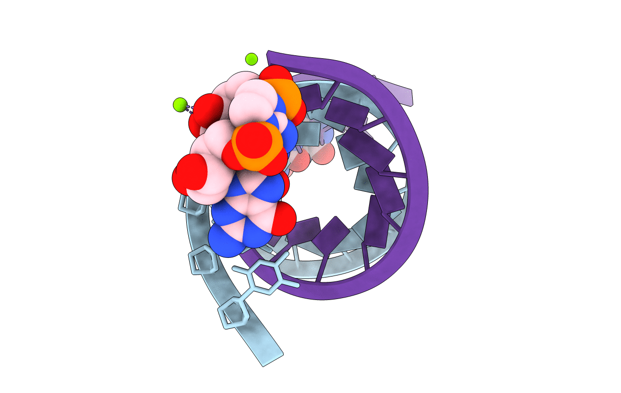 6C8K image