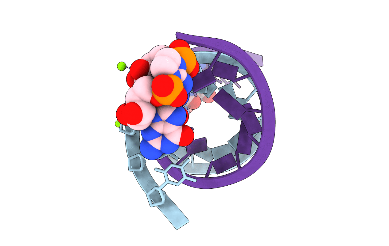 6C8L image