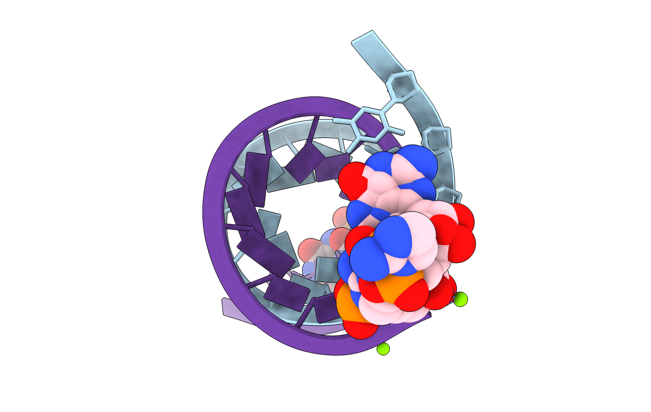 6C8N image