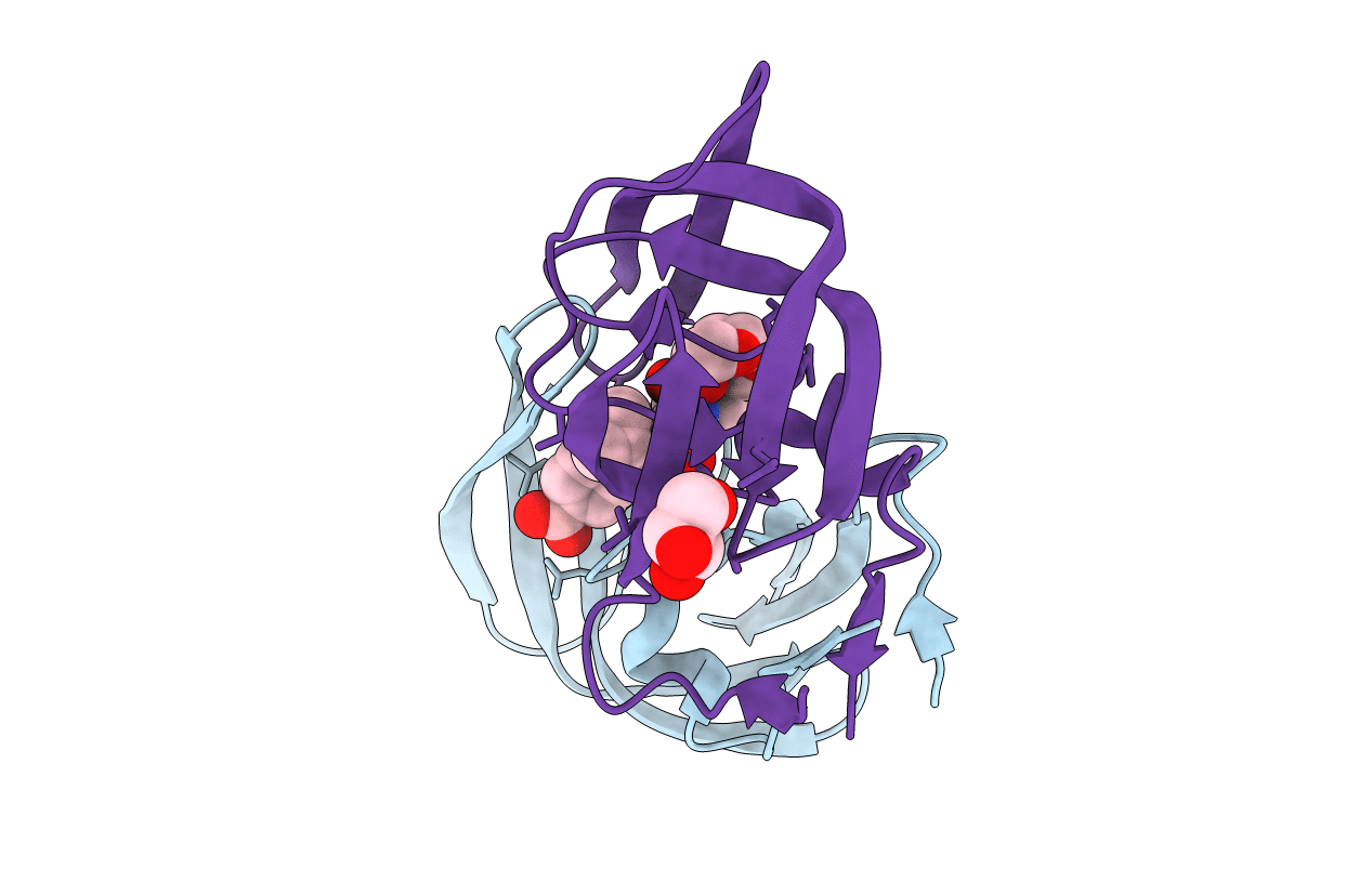 6C8X image