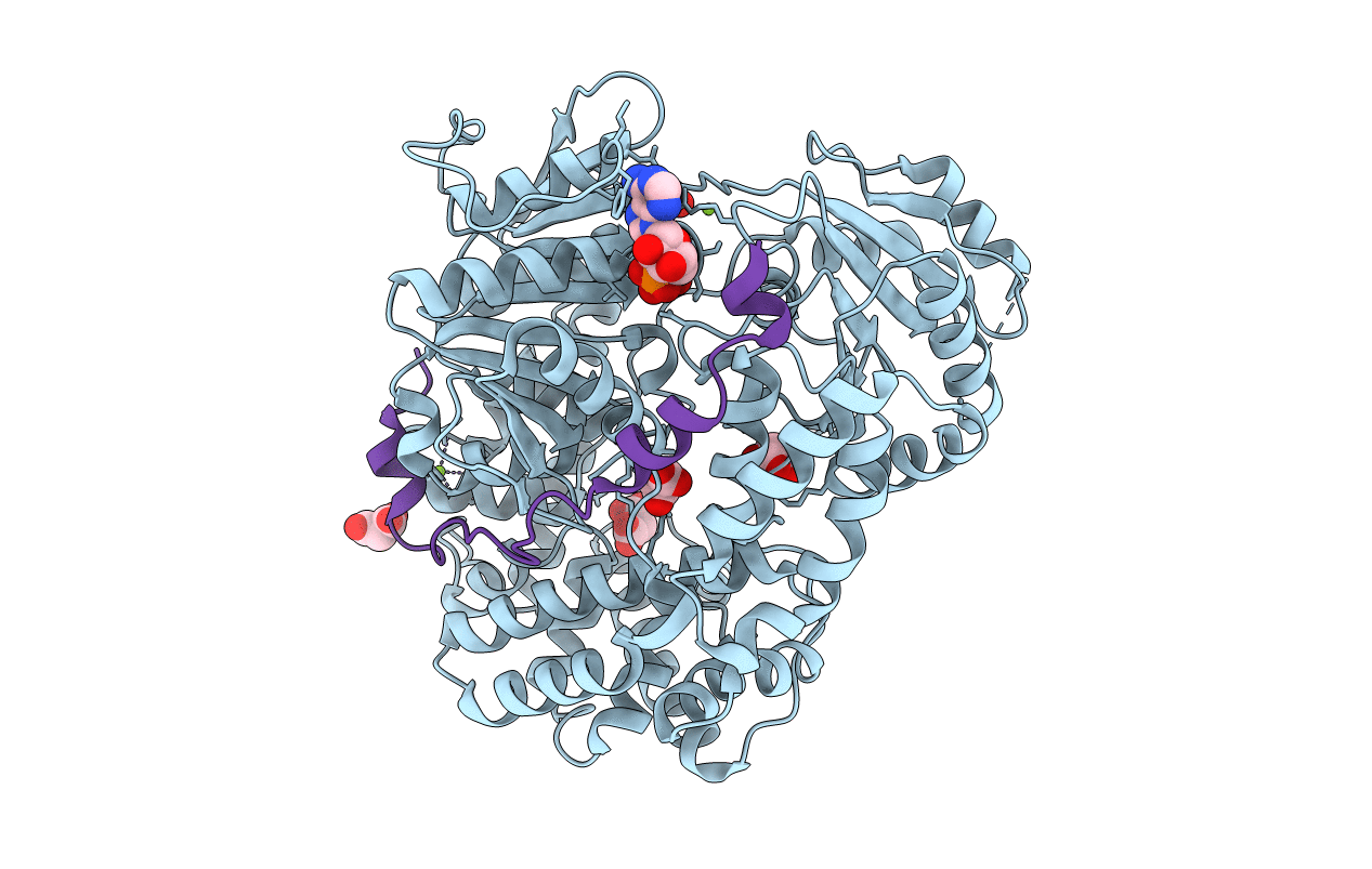 6C90 image