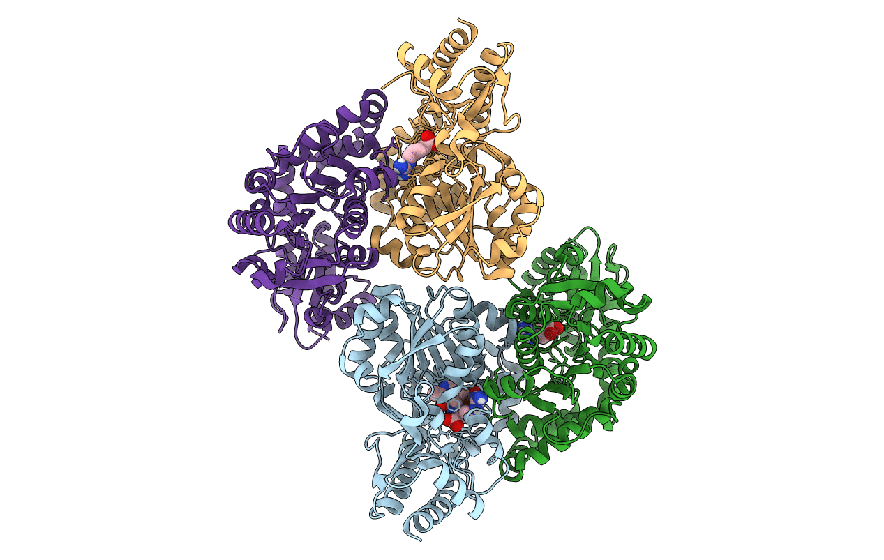 6C92 image