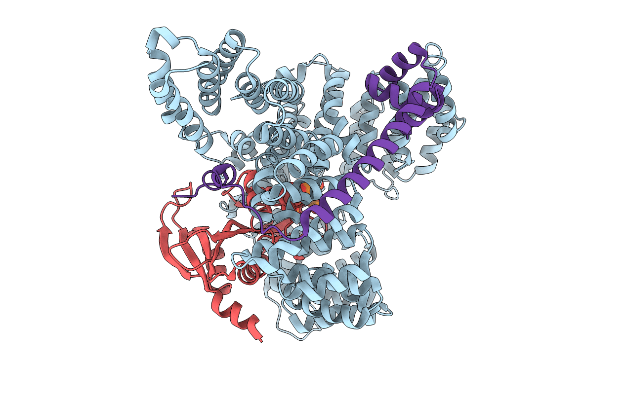 6C95 image