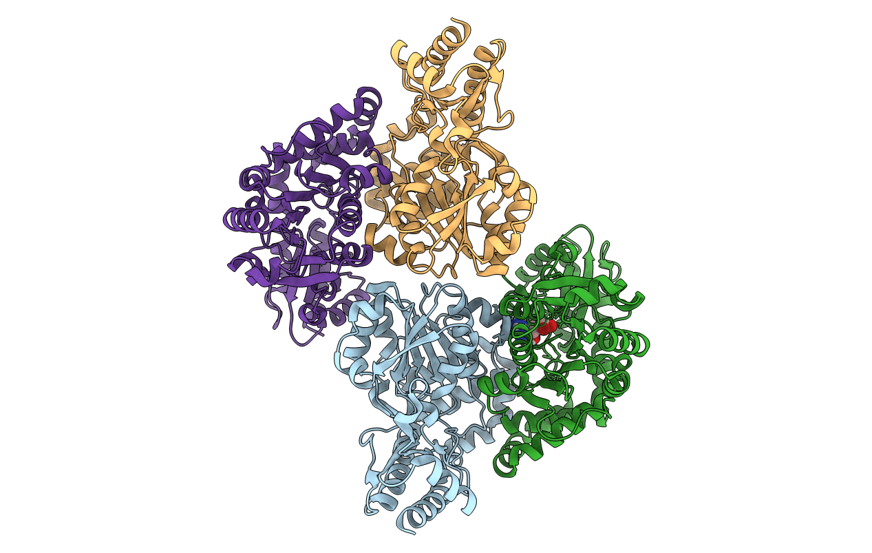 6C9B image