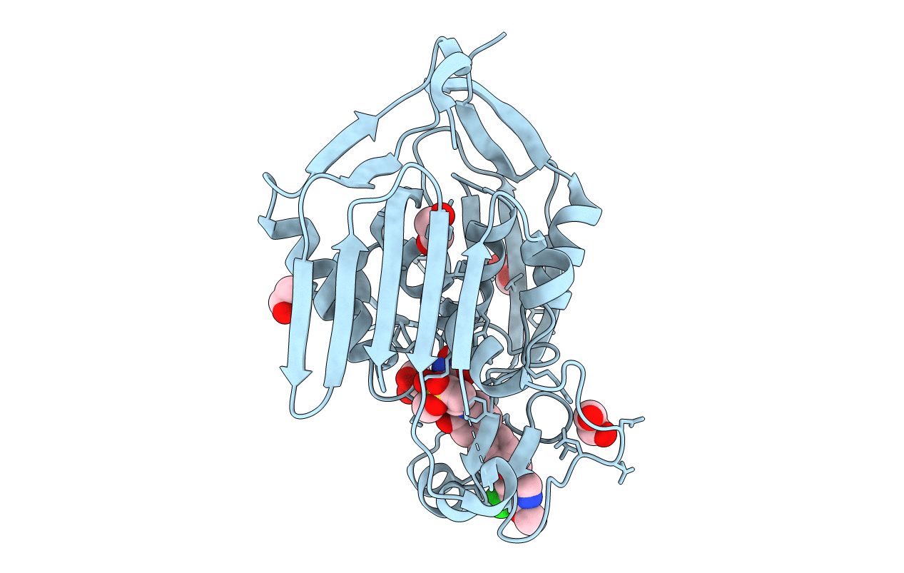 6C9C image