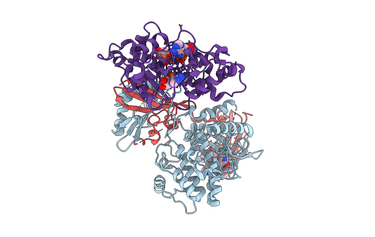 6C9H image