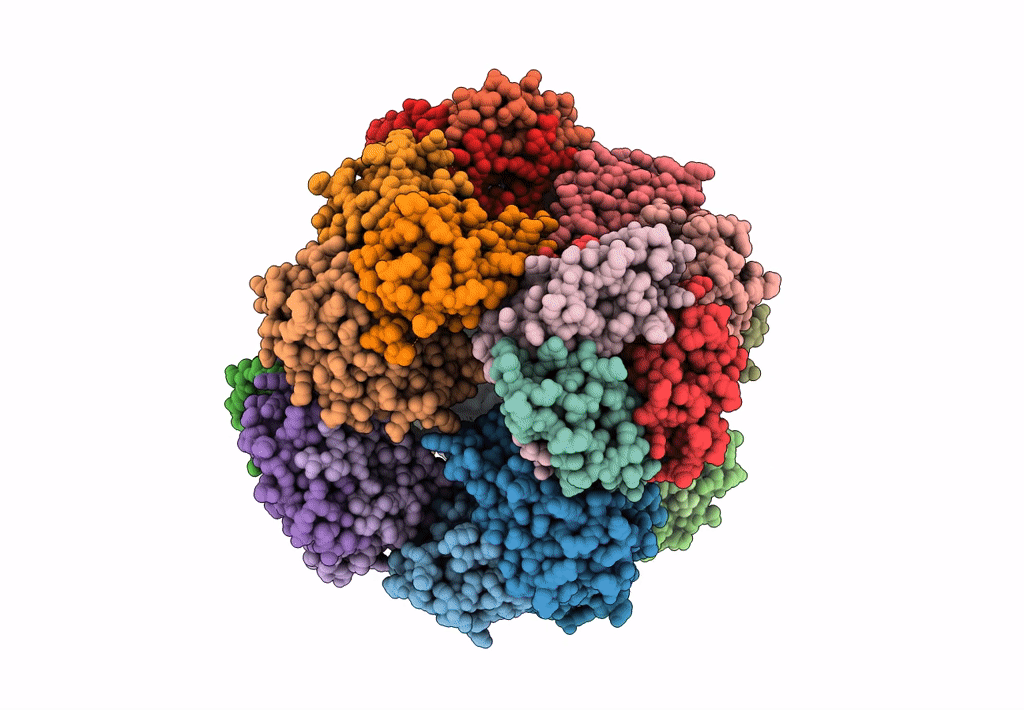 6C9I image