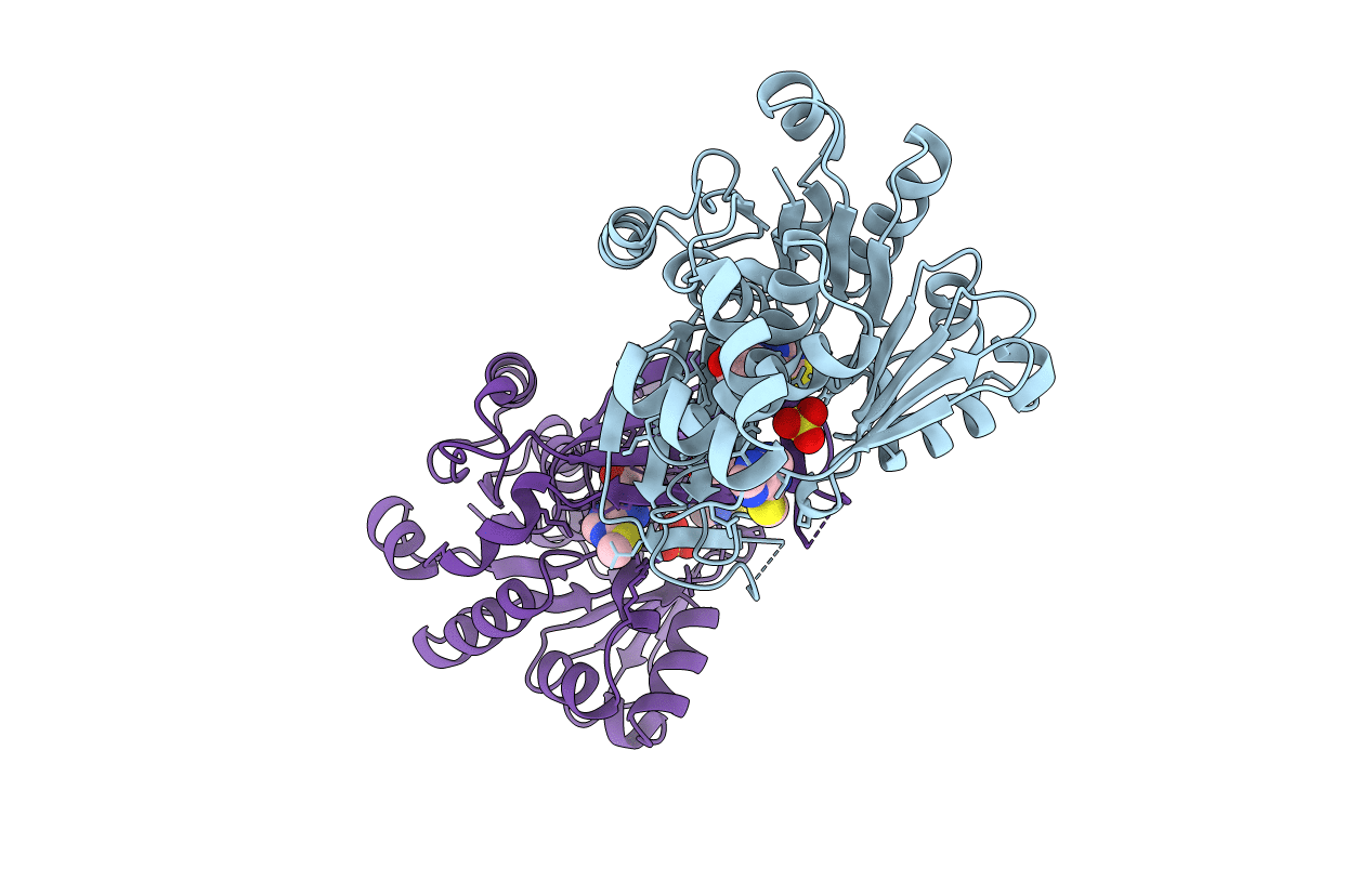 6C9P image